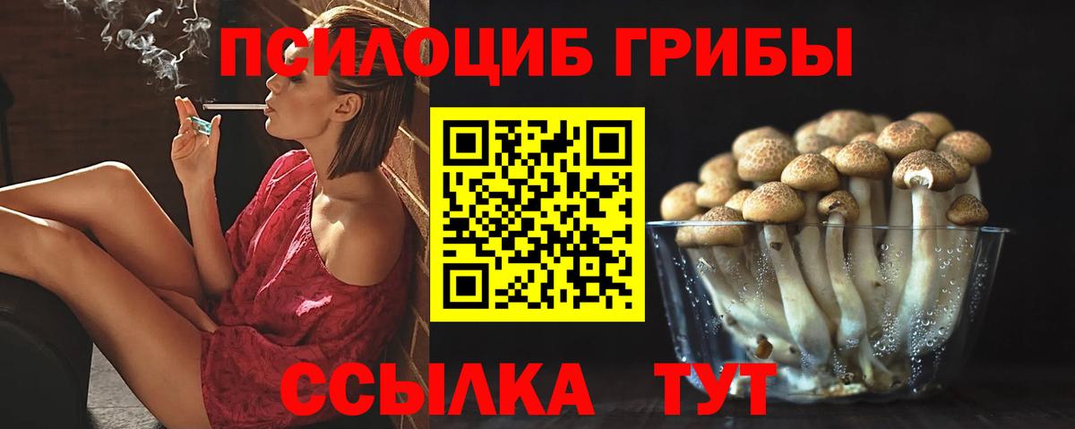 Видное  Псилоцибиновые грибы мицелий  Псилоцибиновые грибы MAGIC MUSHROOMS  Вход с VPN 